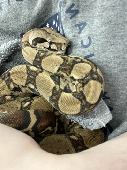 Animal Urgent Care Center Picture 9