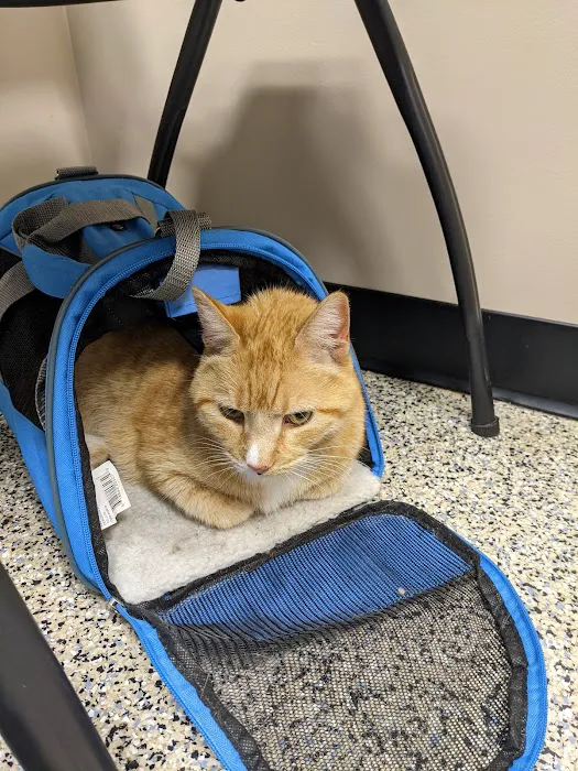 Redwood Veterinary Hospital Picture 8