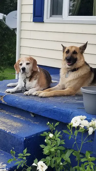 Wintersville Veterinary Hospital Picture 6