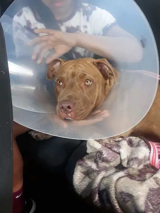 Jefferson County Humane Society Veterinarian Clinic Picture 2