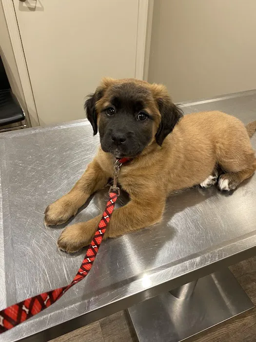 Jefferson County Humane Society Veterinarian Clinic Picture 4