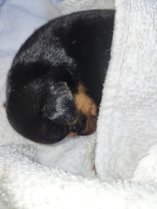 Crestview Veterinary Clinic Picture 9