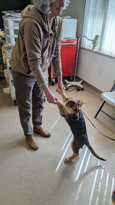 Toronto Veterinary Services Picture 3
