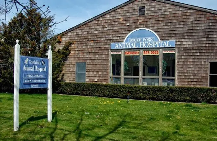 South Fork Animal Hospital Picture 9