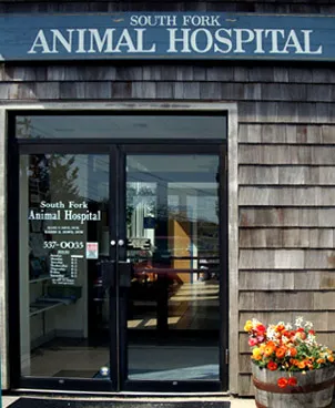 South Fork Animal Hospital Picture 3