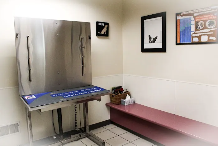 Lewiston Animal Hospital Picture 5