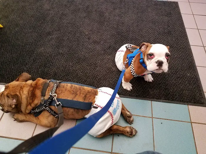 Lewiston Animal Hospital Picture 8