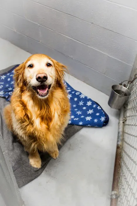 Lewiston Animal Hospital Picture 7