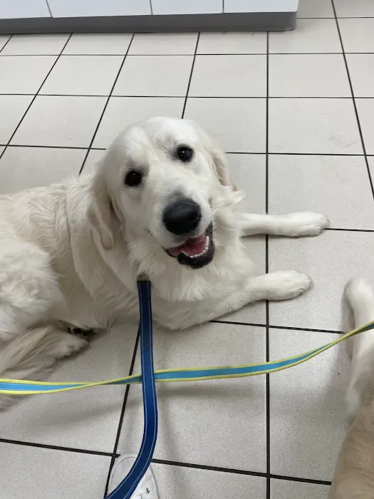 Lewiston Animal Hospital Picture 10