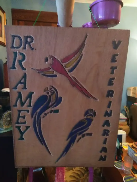Animal Ark Pet Hospital Picture 3