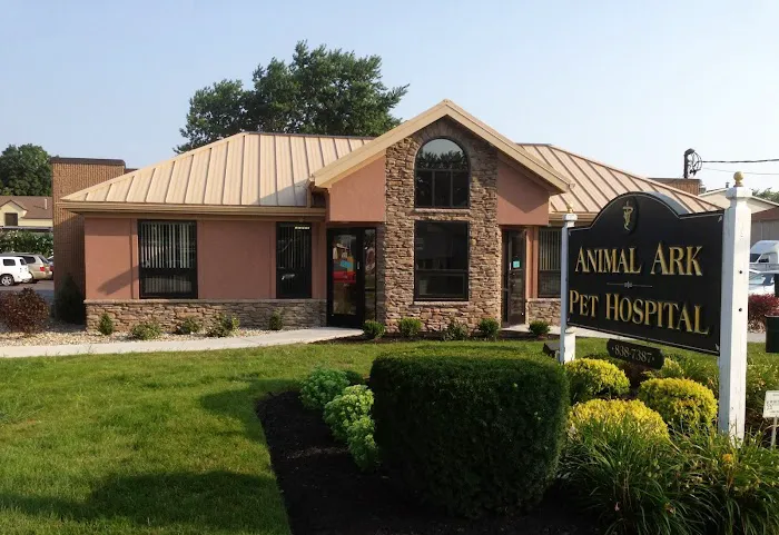 Animal Ark Pet Hospital Picture 4