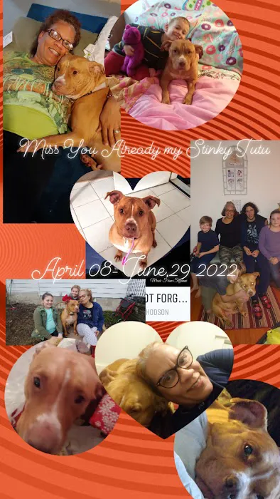 Erie Animal Hospital: Morris Stephanie DVM Picture 1