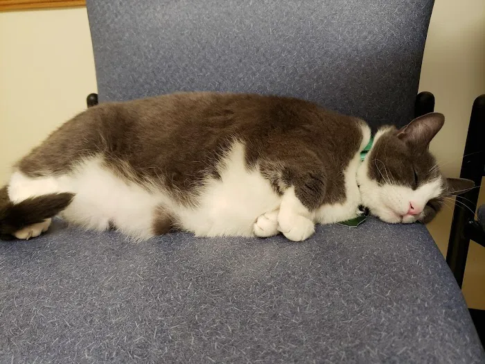 Erie Animal Hospital Picture 4