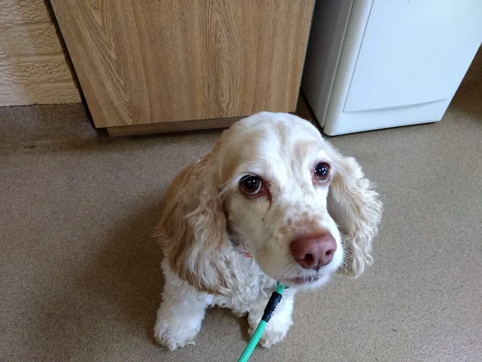 Erie Animal Hospital Picture 3