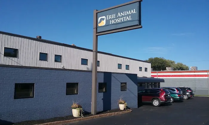 Erie Animal Hospital Picture 2