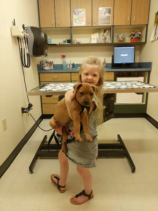 Erie Animal Hospital Picture 8