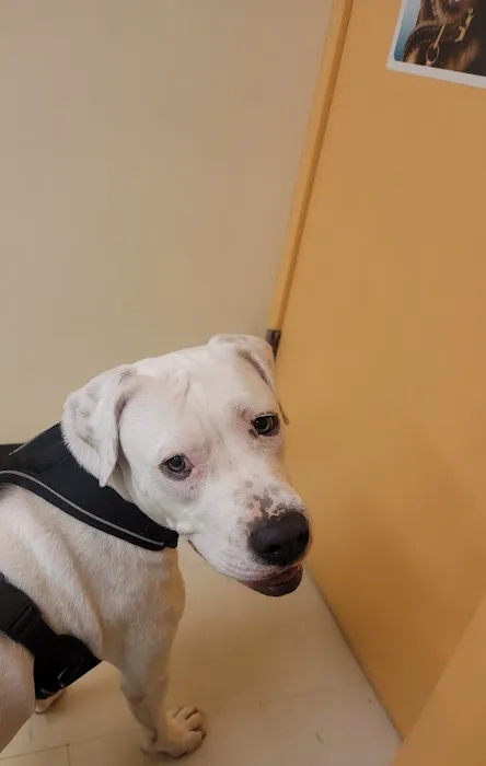 Erie Animal Hospital Picture 7