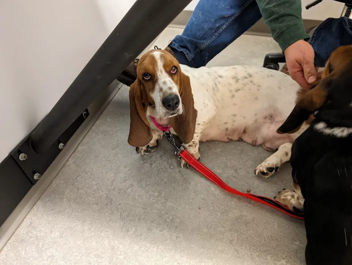 Millcreek Animal Hospital Picture 9