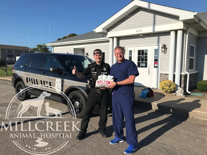 Millcreek Animal Hospital Picture 6