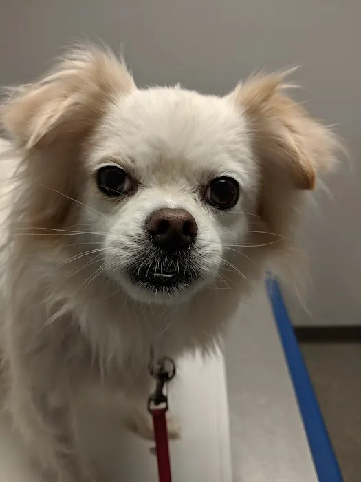 Millcreek Animal Hospital Picture 5