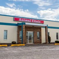 The Animal Clinic ico