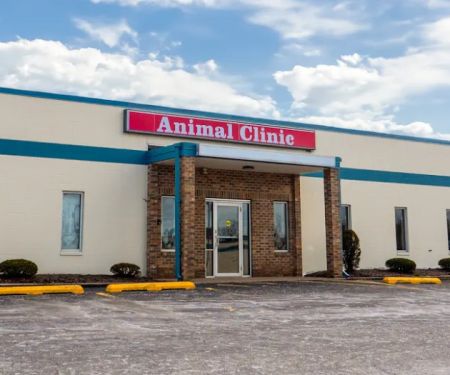 The Animal Clinic