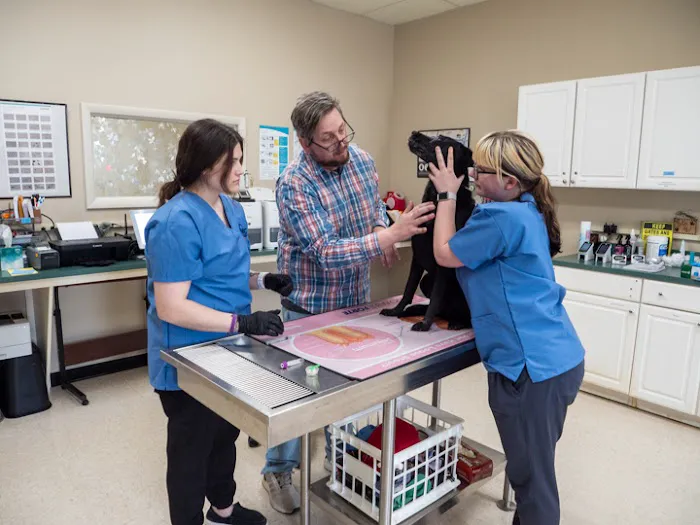 The Animal Clinic Picture 9