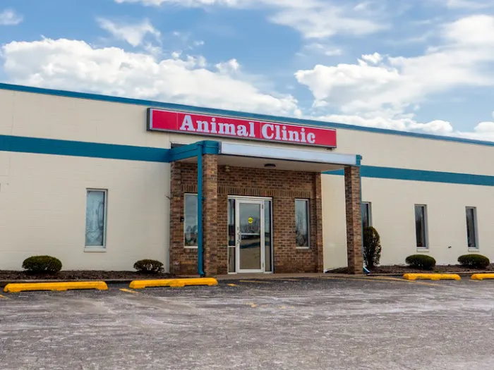 The Animal Clinic Picture 8