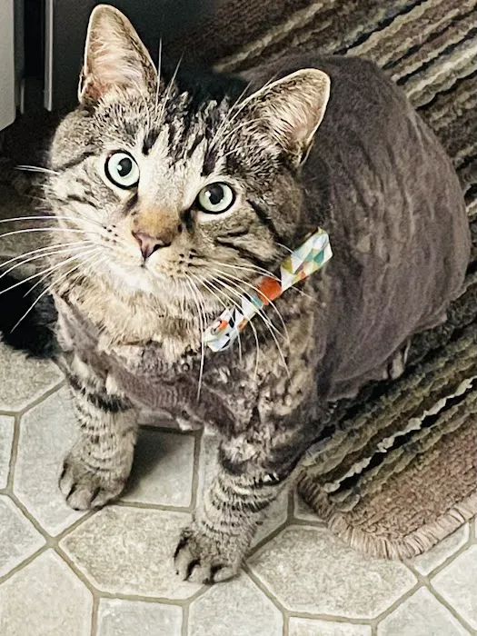 Albion Animal Center Picture 1