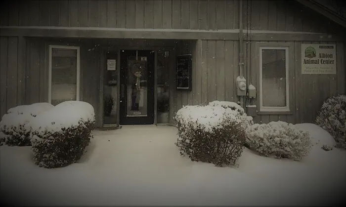 Albion Animal Center Picture 4