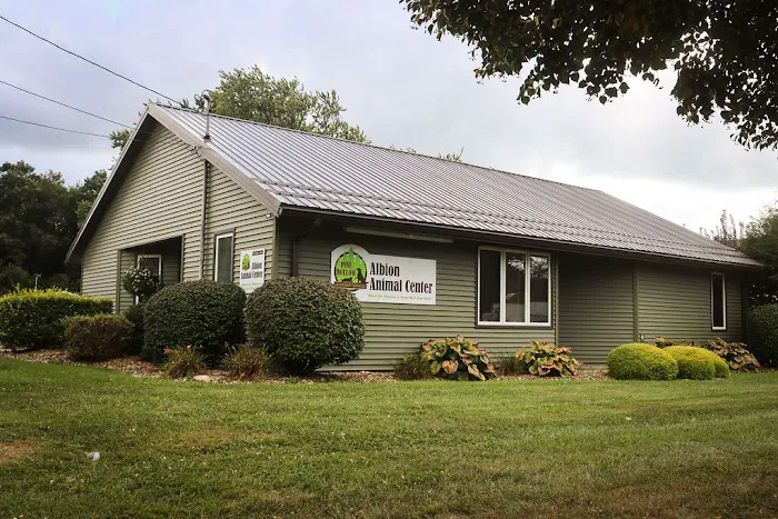 Albion Animal Center Picture 3