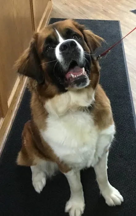 Albion Animal Center Picture 5