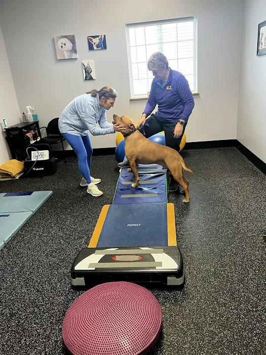 Balance Veterinary Rehabilitation Services Picture 7