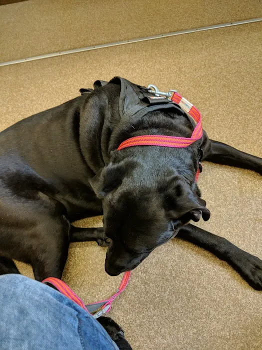 Rumney Animal Hospital Picture 4