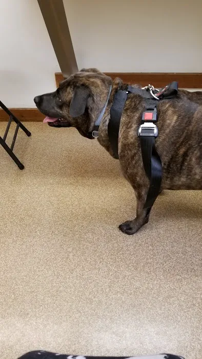 Rumney Animal Hospital Picture 3