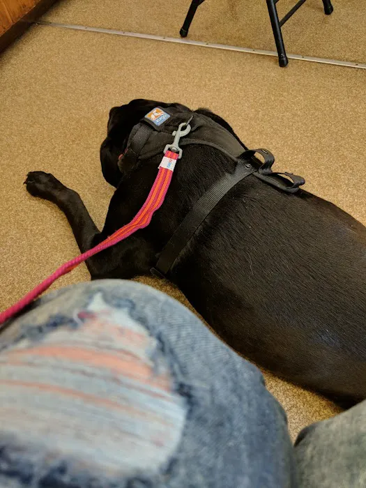 Rumney Animal Hospital Picture 7