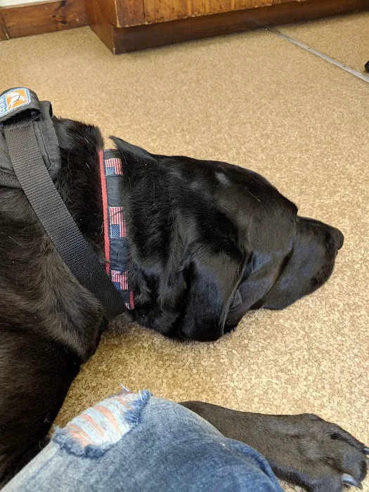 Rumney Animal Hospital Picture 8