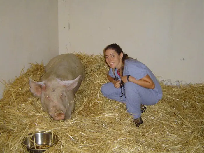 Bobbin Mill Veterinary Services Picture 9