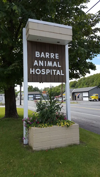 Barre Animal Hospital Picture 1