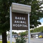Barre Animal Hospital