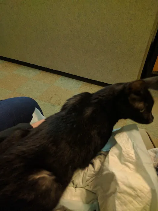 Valley Animal Hospital Picture 7