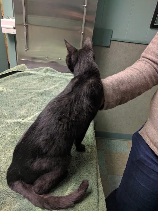 Valley Animal Hospital Picture 8