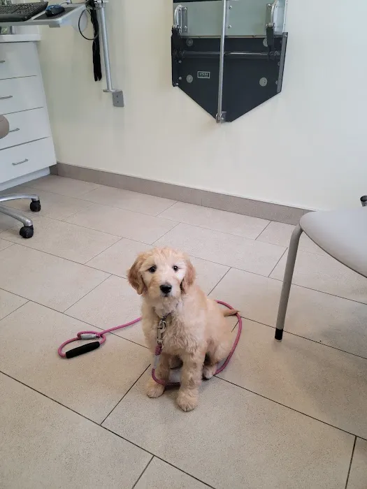 Onion River Animal Hospital Picture 1