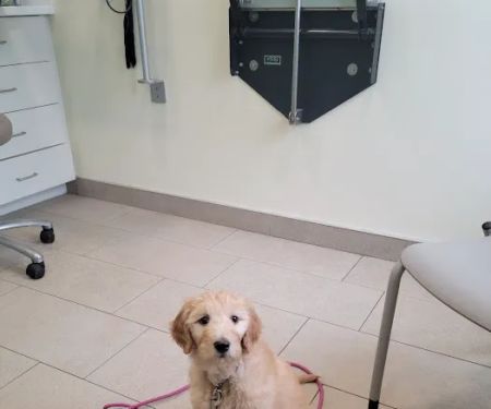 Onion River Animal Hospital