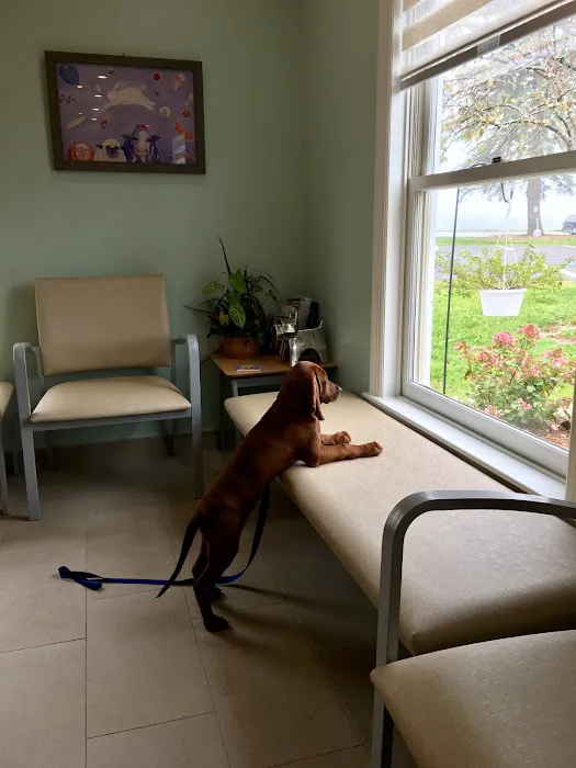 Onion River Animal Hospital Picture 7