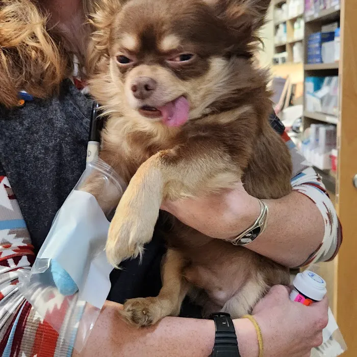 Onion River Animal Hospital Picture 10