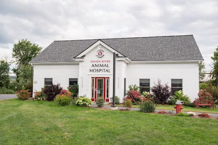 Onion River Animal Hospital Picture 4