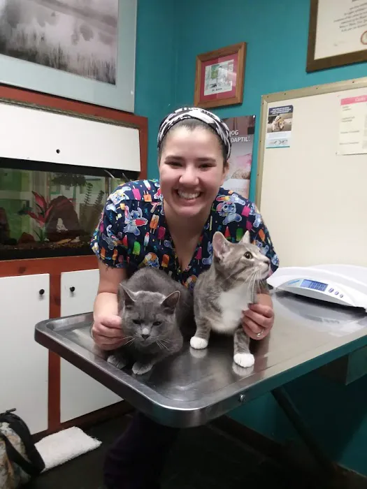 Mad River Veterinary Service Picture 10
