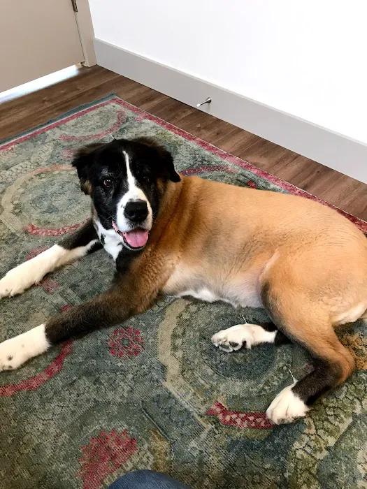Heart of Vermont Vet: At-Home End-of-Life Care for Pets Picture 5