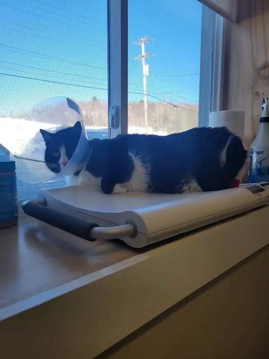 Montpelier Veterinary Hospital Picture 3